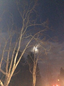 Winter Solstice Waxing Moon... bringing our dreams to fruition!